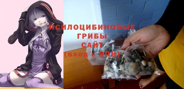 дурь Балахна