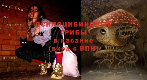 бутират Аркадак