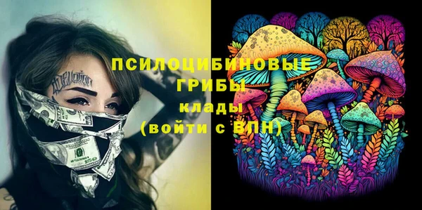 дурь Балахна