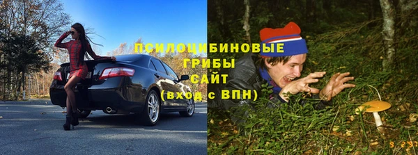 прущий лед Арсеньев