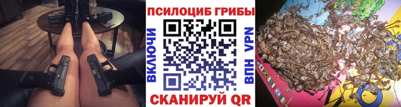 закладки Ивдель Галлюциногенные грибы Cubensis